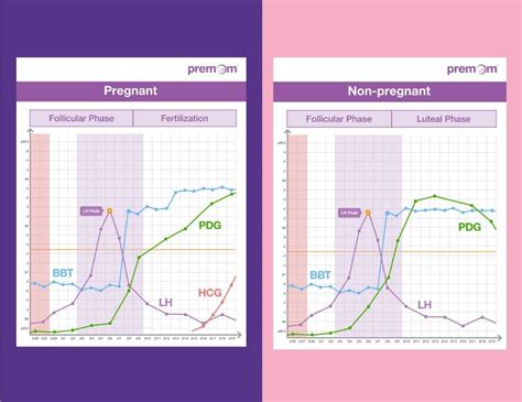 I am extremely confused. . E3g levels during ovulation